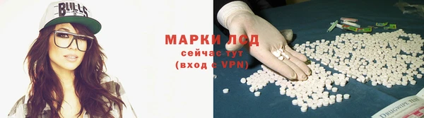 прущий лед Алзамай