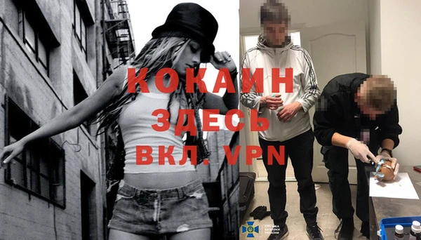 прущий лед Алзамай