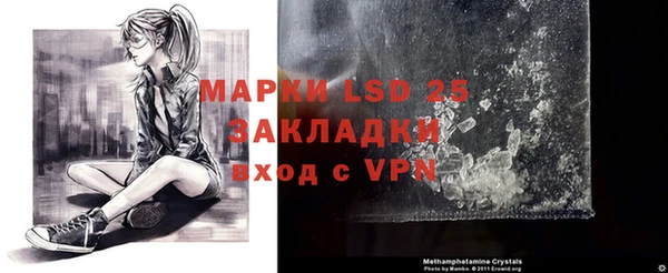 прущий лед Алзамай